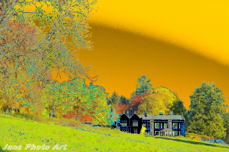 The House On The Hill