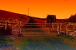Farmyard Sunset