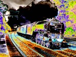 Rainbow Train