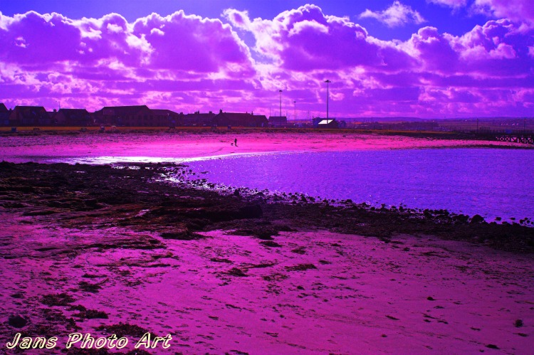 Purple Beach