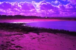 Purple Beach