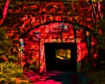 Through the Red Tunnel