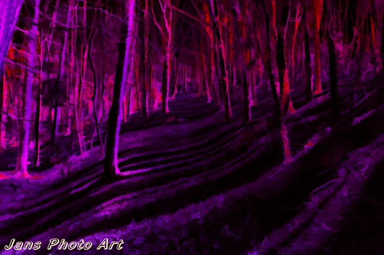 Purple Forest