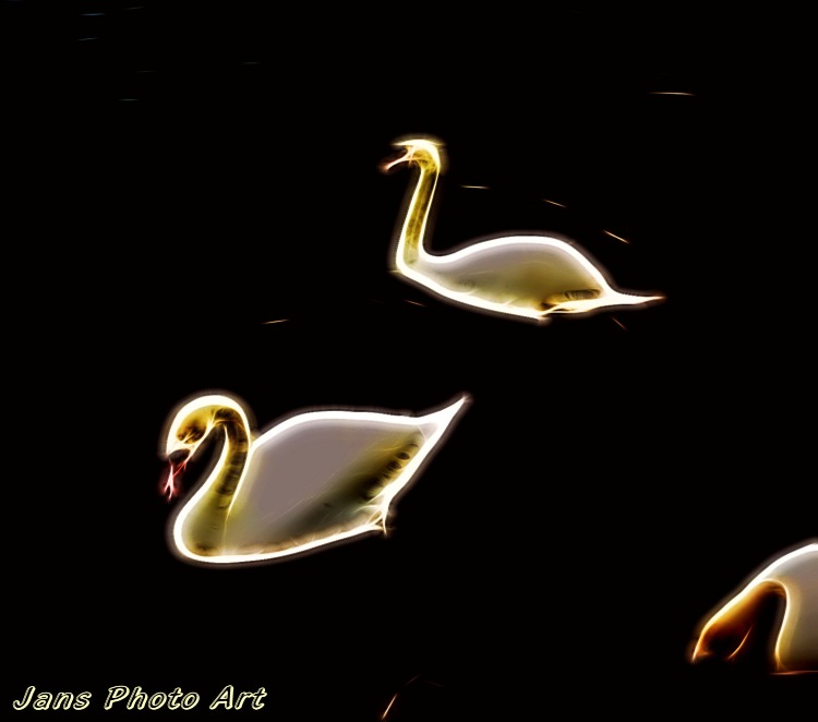 Electric Swans