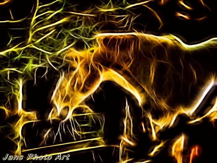 Spirit Horse