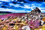 Cairn and Heather