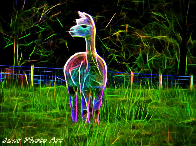 Electric Alpaca