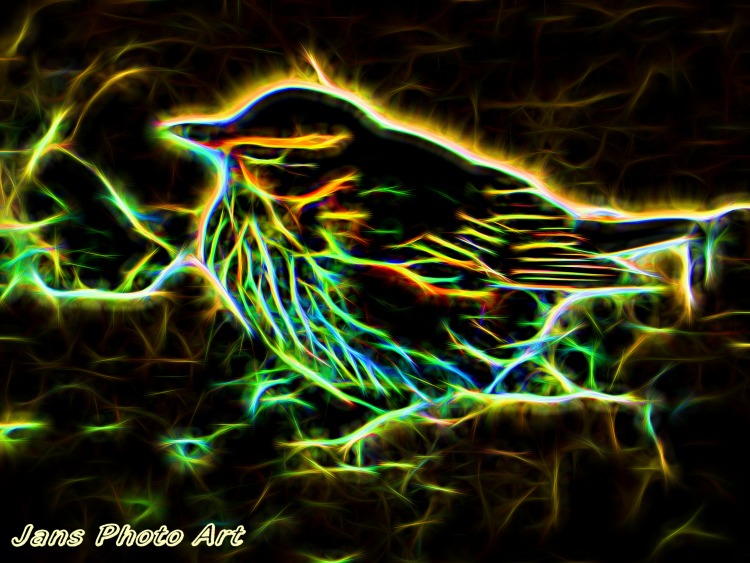 Electric Bird