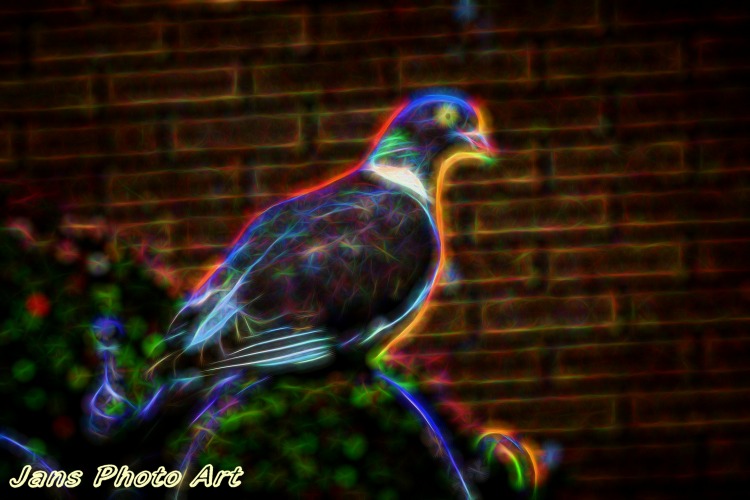 Electric Pigeon