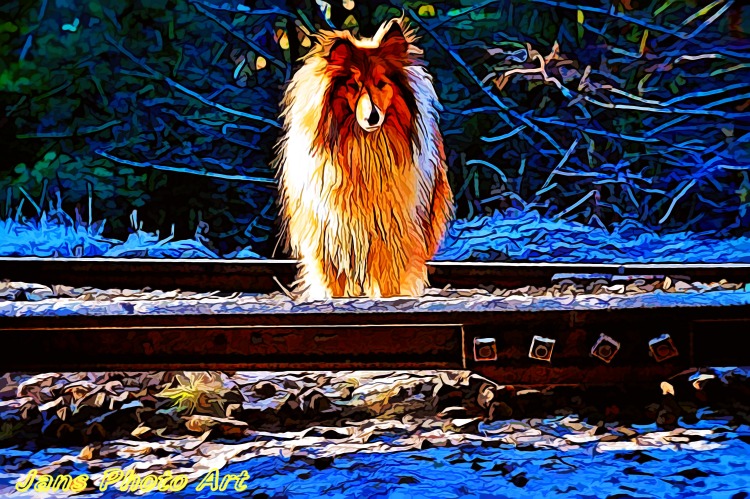 Sitting On The Track