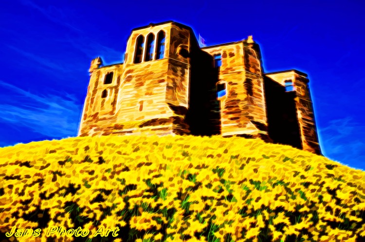 Daffodil Castle