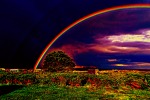 The Rainbow