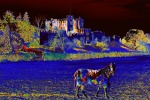 Horse And Castle